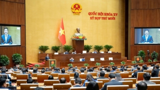 Người livestream bán hàng không được cung cấp thông tin gian dối hoặc gây nhầm lẫn