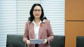 Nền tảng thương mại điện tử phải xác minh người bán và chịu liên đới khi xảy ra vi phạm