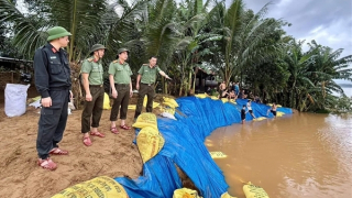 Đà Nẵng hỗ trợ khẩn cấp 210 tỷ đồng cho 72 xã, phường khắc phục hậu quả thiên tai