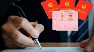 Triển khai chiến dịch 90 ngày đêm làm giàu, sạch cơ sở dữ liệu quốc gia về đất đai