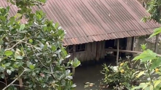 Đồng Tháp: Hai mẹ con tử vong trong căn nhà ngập nước