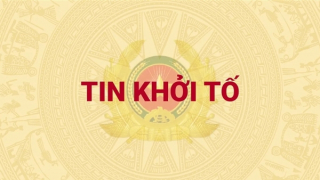 Khởi tố vụ án liên quan đến xuất khẩu Sầu riêng sang Trung Quốc