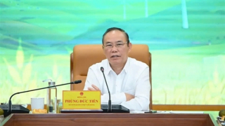 Nông nghiệp luôn là trụ cột của nền kinh tế