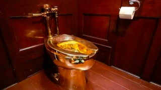 Bồn cầu giá 263 tỷ