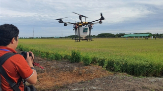 Đẩy nhanh chuyển đổi số tại đồng bằng sông Cửu Long