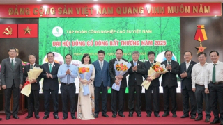 VRG sẽ đạt doanh thu tối thiểu 32.007 tỷ đồng năm 2025