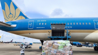 8 sân bay và hơn 50 chuyến bay chịu ảnh hưởng của bão Kalmaegi