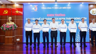 Tổng công ty Điện lực miền Nam quyết liệt trong công tác đầu tư xây dựng