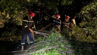 Công an các tỉnh hỗ trợ người dân khắc phục hậu quả thiệt hại sau bão số 13