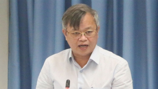 Ban Bí thư xem xét, thi hành kỷ luật đảng viên vi phạm