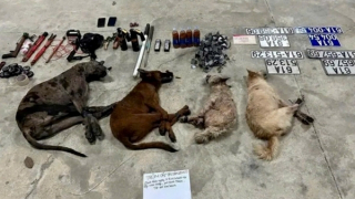 Bị truy đuổi, nhóm trộm chó bỏ ô tô để thoát thân