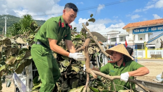 Tăng cường lực lượng Công an khắc phục hậu quả cơn bão số 13