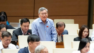 Đại biểu Quốc hội đề nghị hỗ trợ phụ nữ sinh đủ 2 con kể cả sau 35 tuổi