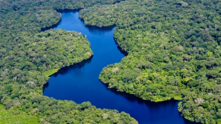 Từ câu chữ đến giải ngân