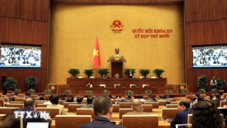 Tuần này, Quốc hội thảo luận Luật Phòng, chống ma túy (sửa đổi)