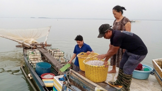 Bồng bềnh sông nước mưu sinh