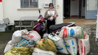 Đêm mưa gió, mang bao tải vào rẫy hái trộm hàng loạt cà phê