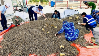 Phát hiện hơn 25 tấn đạn, vỏ đạn quân dụng nhập khẩu qua cảng Đình Vũ