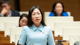 Còn "khoảng trống" khi người nổi tiếng livestream bán hàng kém chất lượng, quảng cáo sai sự thật