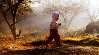 Hà Nội nắng hanh, vùng núi cao Bắc Bộ chuyển rét đậm