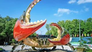 “Ngày hội Cua Cà Mau” năm 2025 được tổ chức tại TP Hồ Chí Minh