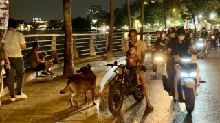 Người đàn ông phát bệnh dại sau 6 tháng bị chó cắn