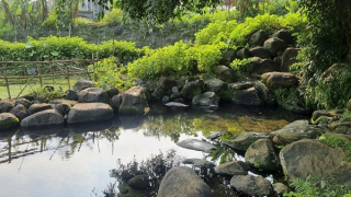 Giếng cổ Gio An, “báu vật” 5.000 năm tuổi