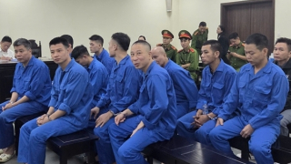 Cựu Trưởng khoa và Phó khoa Bệnh viện Tâm thần Trung ương 1 lĩnh án tù