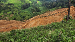 Đà Nẵng: Sạt lở núi kinh hoàng giữa ngày nắng, nghi 3 người bị vùi lấp