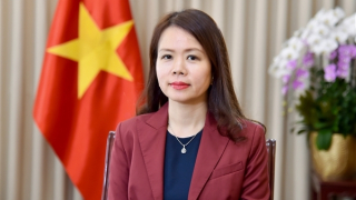 Chuyến công tác của Thủ tướng sẽ thúc đẩy hợp tác chiến lược với Nam Phi, Algeria, Kuwait và G20