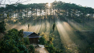 Miền Bắc rét về đêm và sáng sớm, trưa chiều nắng ấm