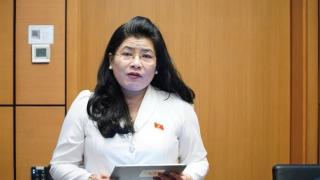 Lo ngại tiêu cực, nhũng nhiễu khi Giám đốc Sở được tuyển dụng, điều động, biệt phái nhà giáo