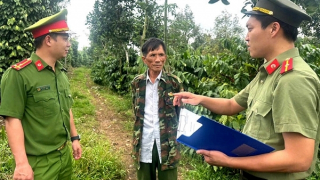 Bình yên cho mùa cà phê mới