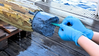 Dấu vết bí ẩn của sự sống dưới đáy Thái Bình Dương