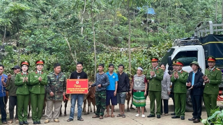 Làng Lỷ đang “hồi sinh” sau bão lũ lịch sử