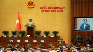 Đề xuất huy động sĩ quan lực lượng vũ trang đã nghỉ hưu tăng cường phục vụ hội nhập quốc tế