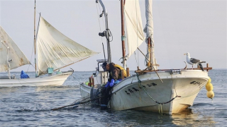 Căng thẳng ngoại giao leo thang, Trung Quốc ngừng nhập khẩu thuỷ sản Nhật Bản