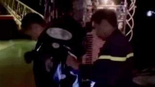 Người dân thở phào khi tổ ong dài hơn 1m trong công viên Lê Văn Tám được xử lý