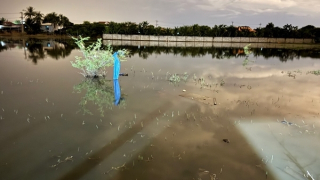 Cháu bé 1 tuổi đuối nước thương tâm dưới ruộng ngập nước gần nhà