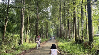 Đến với miền thẳm xanh