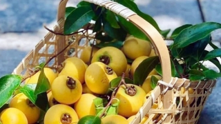 Câu hỏi từ quả thị