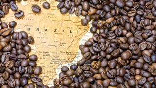 Tổng thống Donald Trump dỡ bỏ thuế quan 40% đối với thực phẩm Brazil