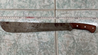 Tạm giữ hai đối tượng gây án giết người