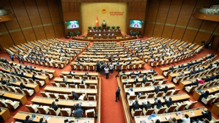 Tuần tới, Quốc hội thảo luận Luật Phòng chống ma tuý (sửa đổi) và thông qua 4 luật về tương trợ tư pháp