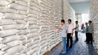 Xuất cấp 4.000 tấn gạo hỗ trợ khẩn cấp cho nhân dân bị thiệt hại do mưa lũ