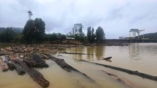 Hàng chục tấn gỗ, củi theo lũ dồn về hồ thủy điện gây nguy cơ mất an toàn đập