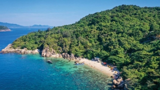 Vì sao Huế bàn giao hơn 740 ha rừng cho Đà Nẵng?