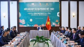Thủ tướng tiếp lãnh đạo các tỉnh của Nhật Bản dự Diễn đàn hợp tác địa phương Việt-Nhật