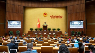 Khát vọng vươn tầm