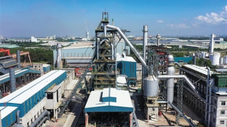 Vingroup hợp tác và hỗ trợ Pomina phát triển